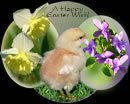 A Happy Easter Wish!