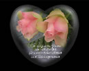 Die schönsten Rosen zum Muttertag für unsere liebe Mama und Schwiegermama