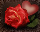 Für Dich. Zu unseren Kennlerntag eine Rose als Zeichen meiner Liebe